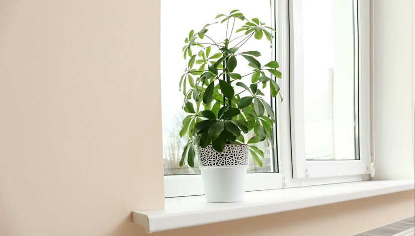 ASAŞ PVC Window Sill Profile